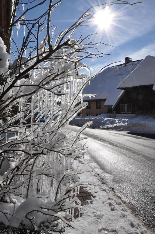 Hotel Hirschen เมนเซนชวานด์ ภายนอก รูปภาพ